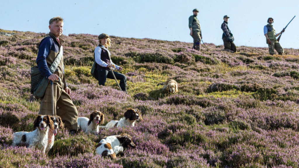 Men with guns and dogs on West Glenalmond Estate