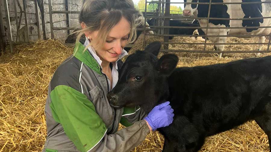 Sarah cuddling a calf