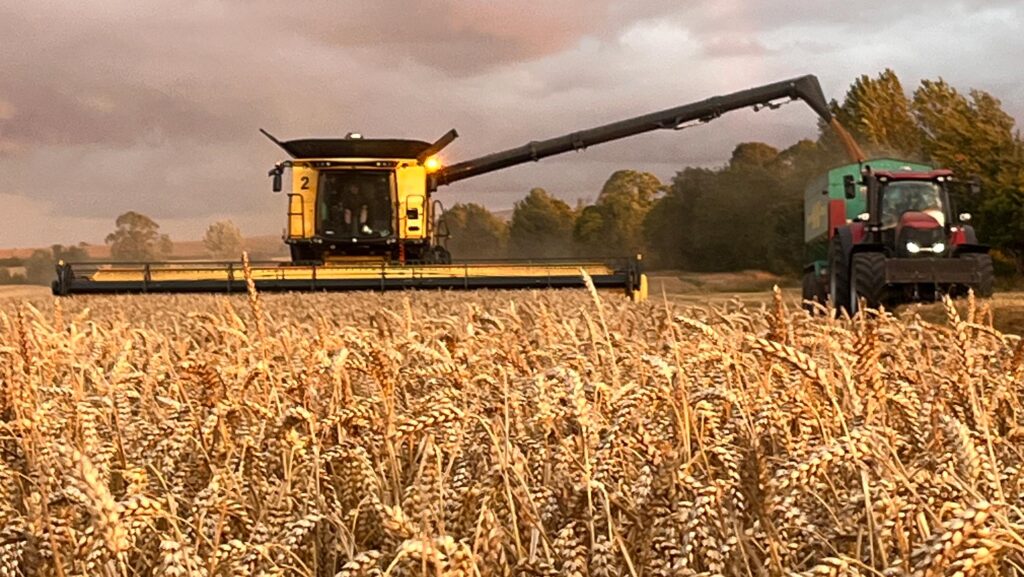Wheat harvest near Berwick-upon-Tweed © supplied by K Douglas