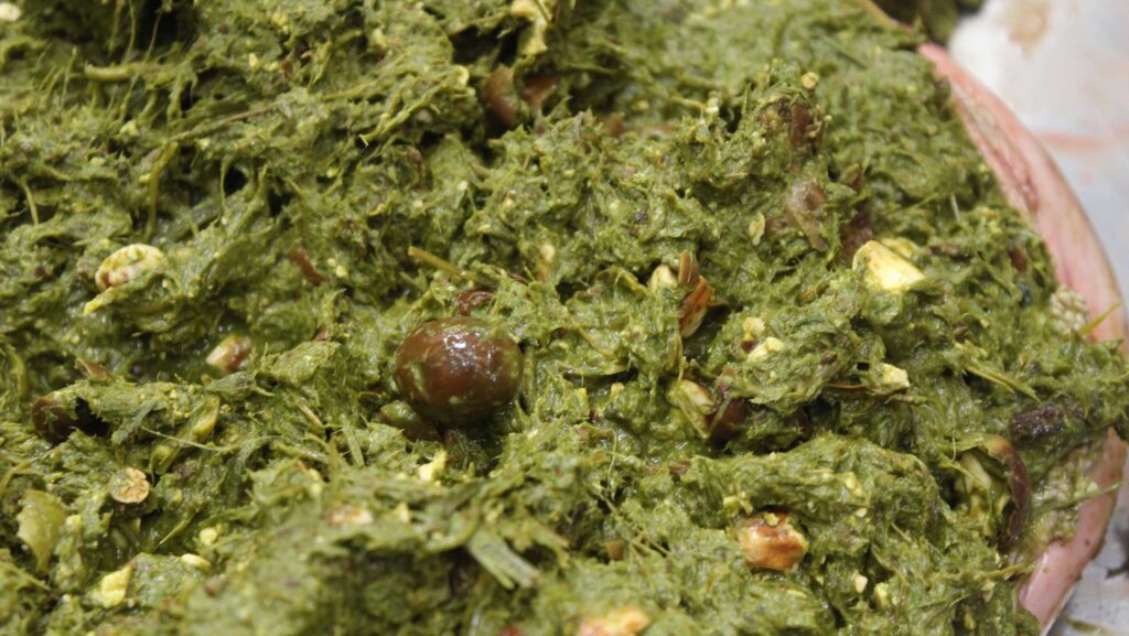 Sheep stomach contents – rumen with acorns