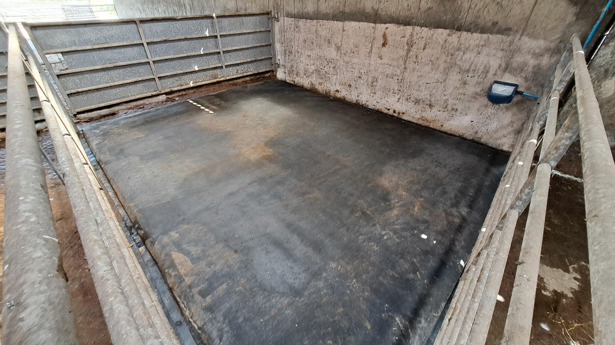 Calving pen with rubber mat