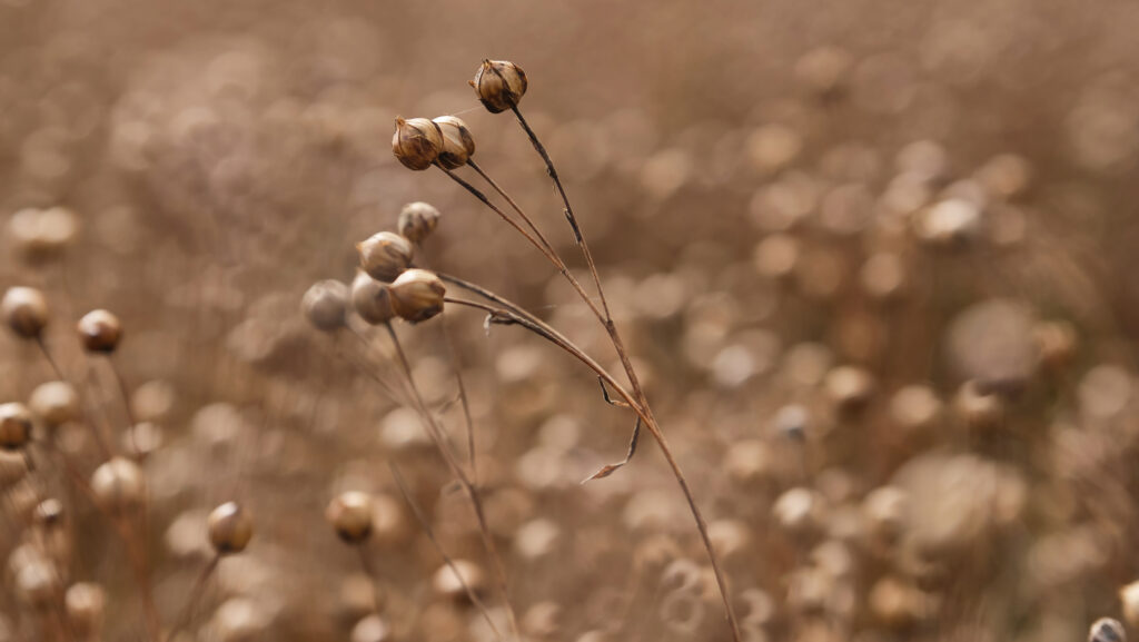 © AdobeStock