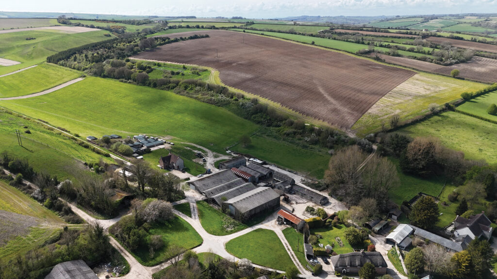 Cruxton Manor Farm 