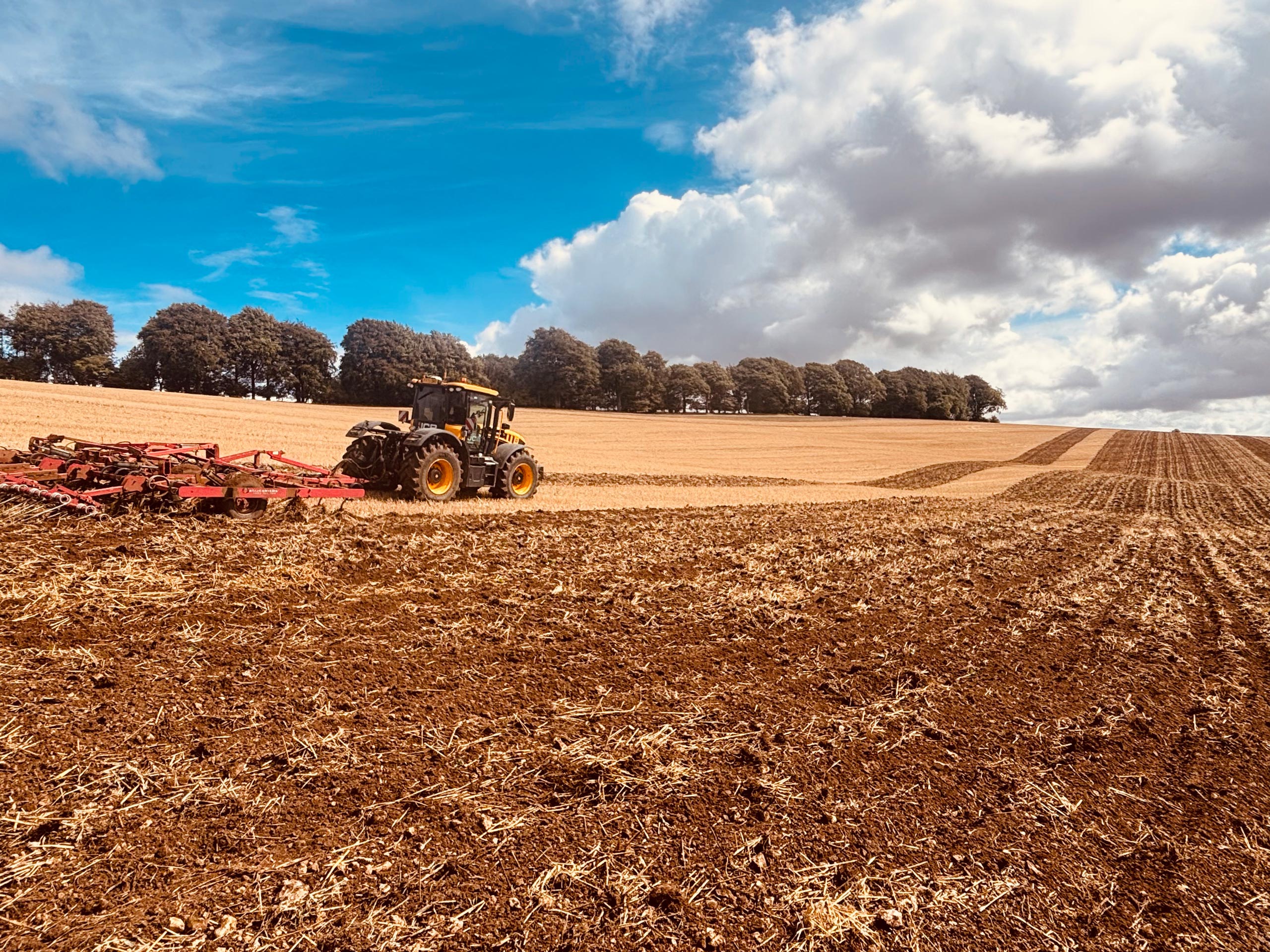 A JCB tractor working with a cultivator to prepare the ground before drilling