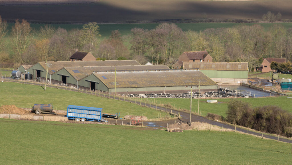 A dairy farm