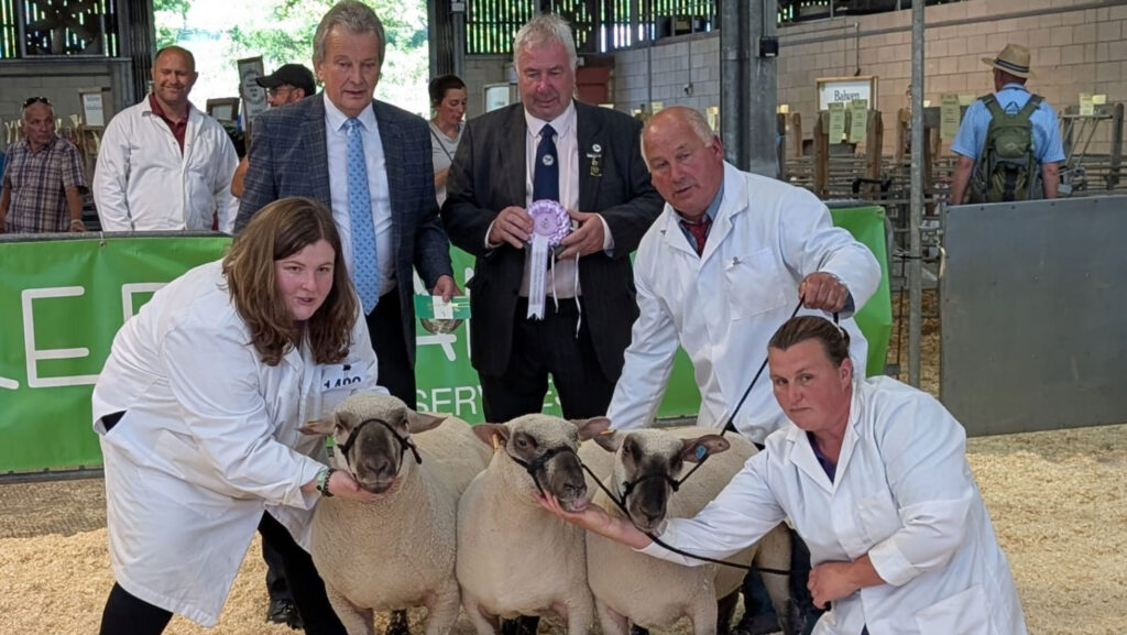 Emily Jones showing sheep at the Spring Festival