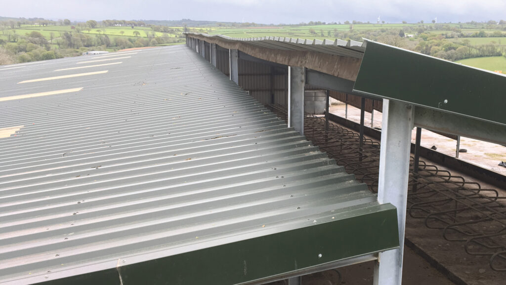 Raised roof with one pitch oversailing the other