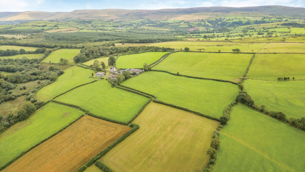 Hafod Farm