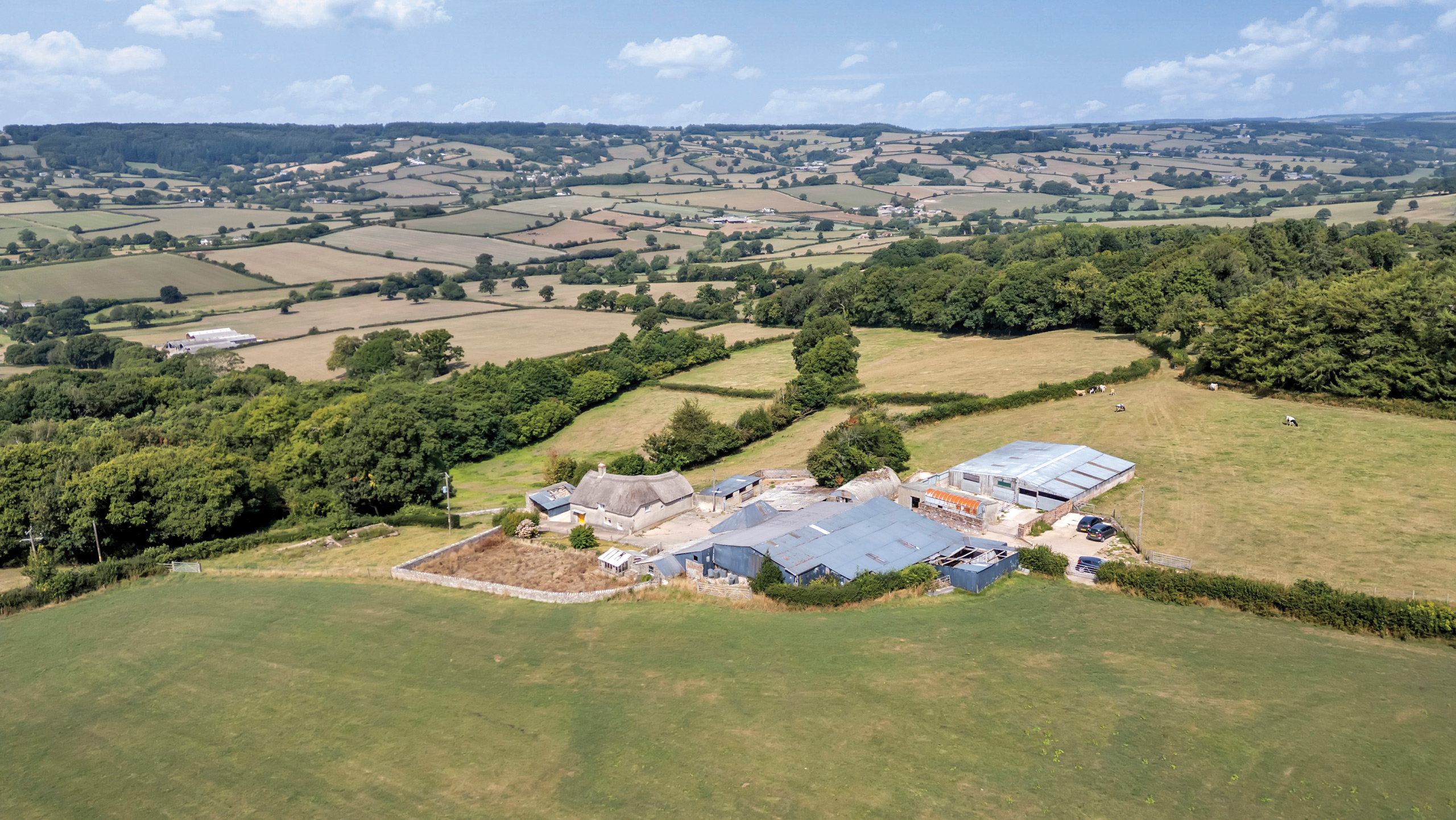Aerial view of farmland