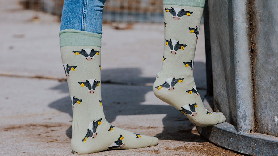 Black and white cow print on socks