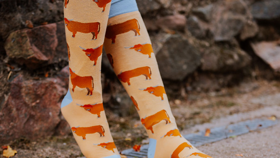 Long socks with highland cow print