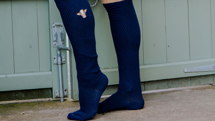 Dark blue XX long socks with brown highland cow face embroided 