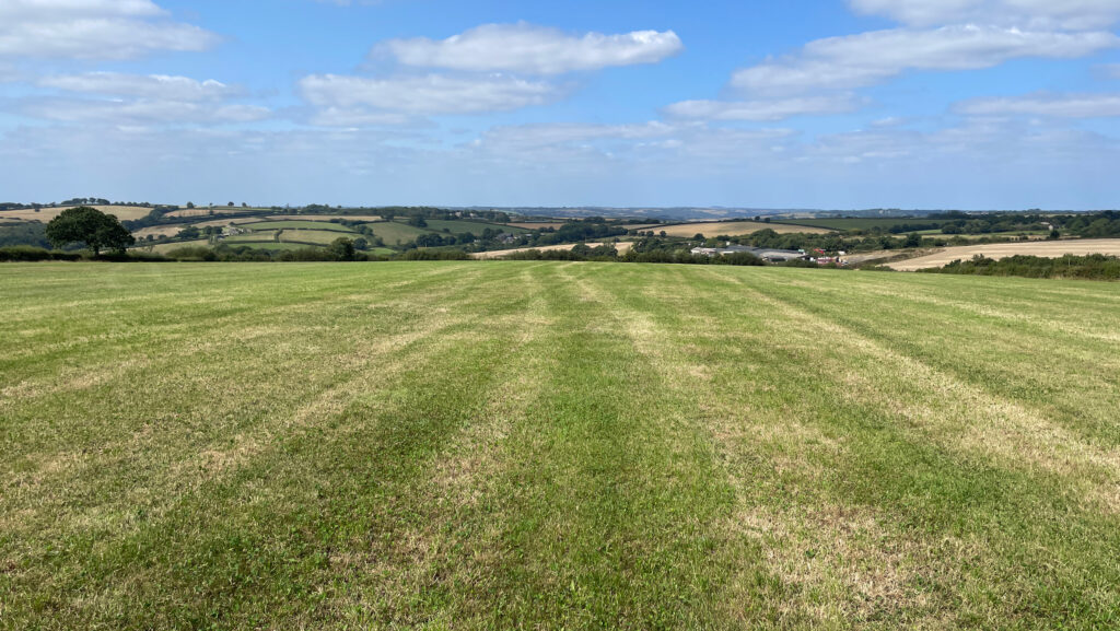 Land at Wixton