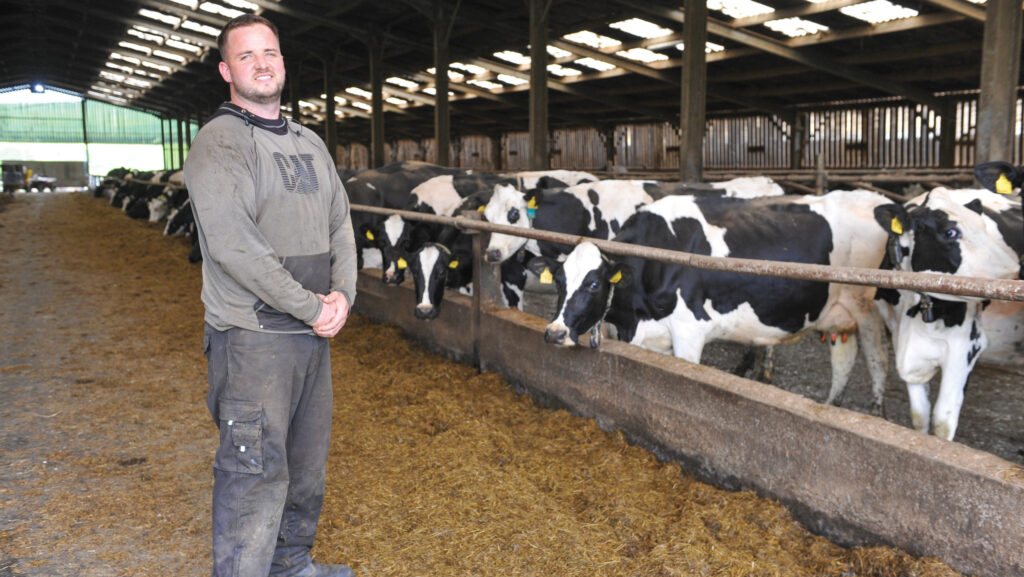 Llyr Griffiths with herd