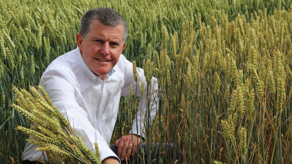 agronomist Mike Thornton