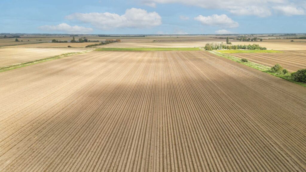 Land at Morton Fen, Lincolnshire © Savills