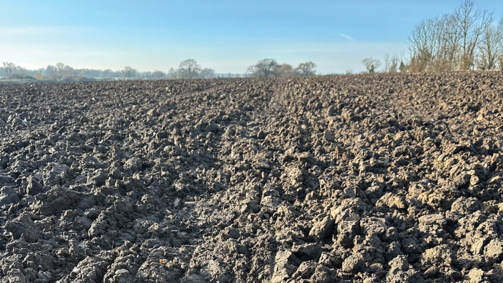 Ploughed field