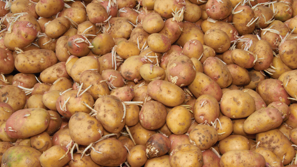 © Robert Lloyd Ashton/Alamy Stock