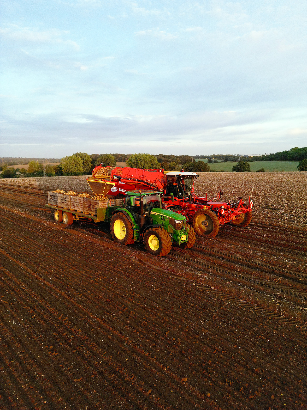 RC Browne and Son lifting Georgina potato crop