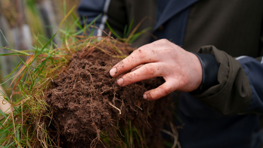 Soil