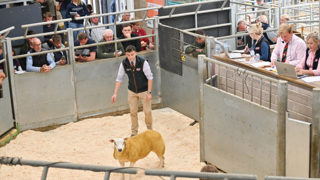© Melton Mowbray Market