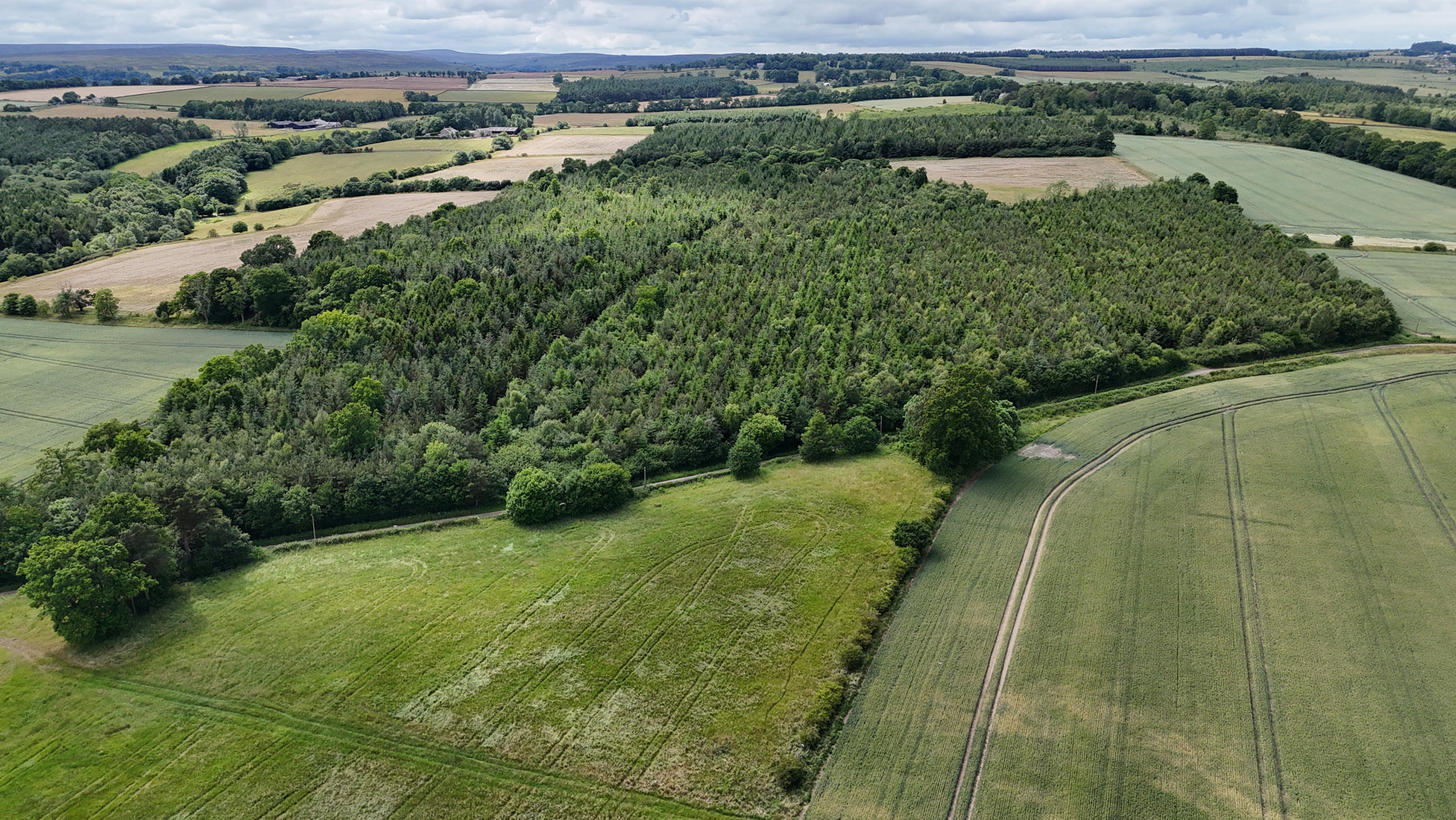 Aerial view of farmland and woods
