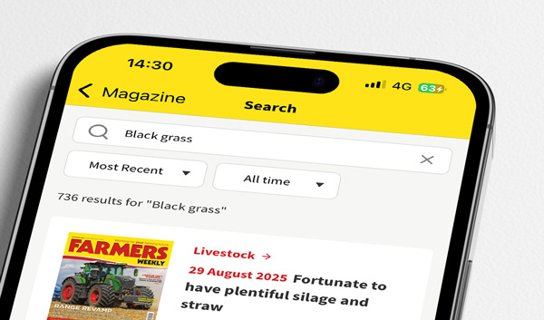 Search archive