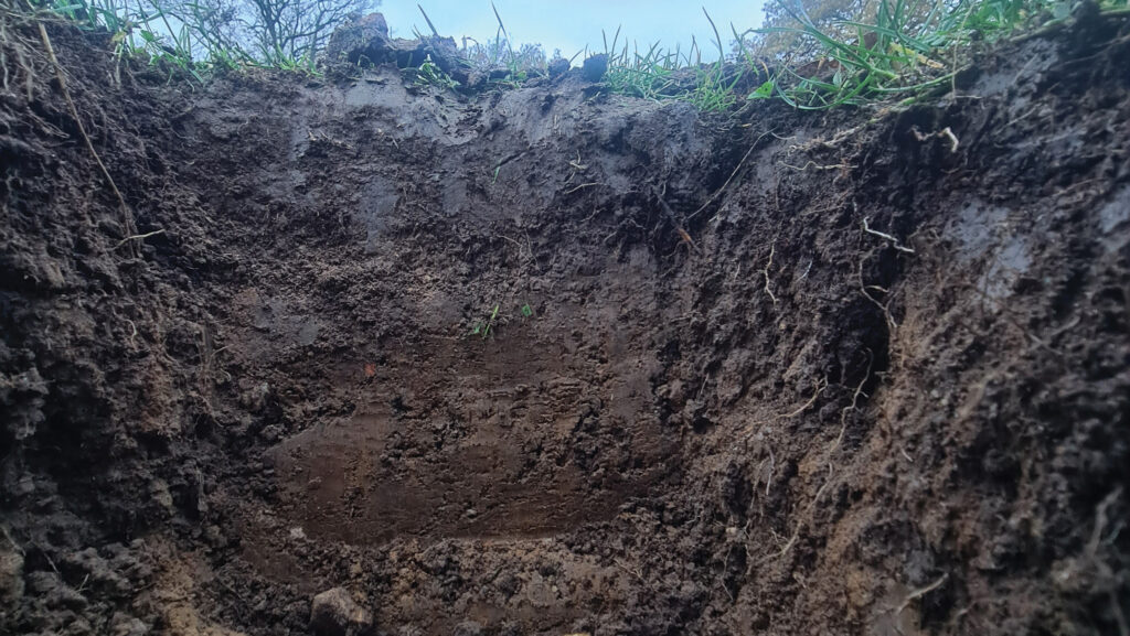 Soil profile from direct-drilled wheat