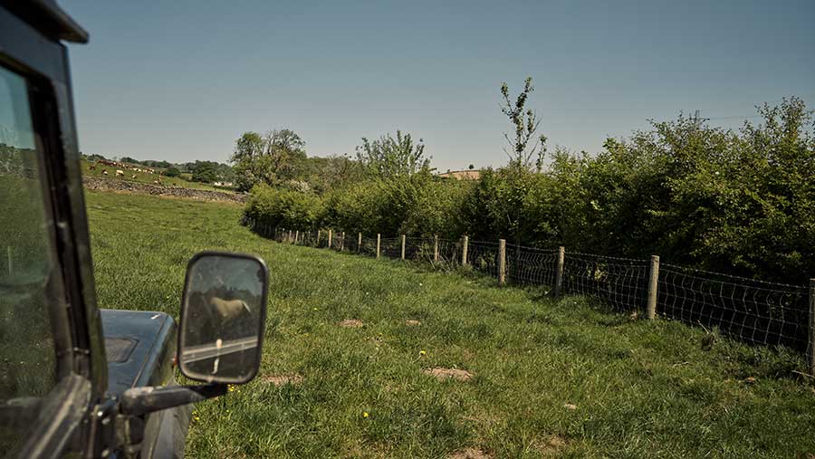 An on-farm hedgerow