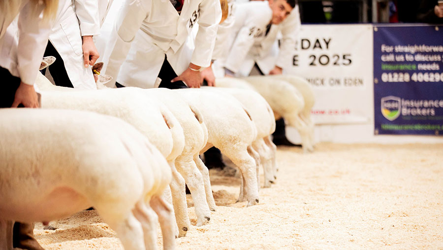 Agri Expo 2024