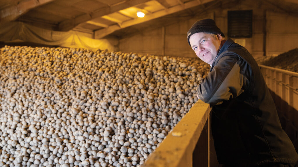 Farmer with harvested potatoes