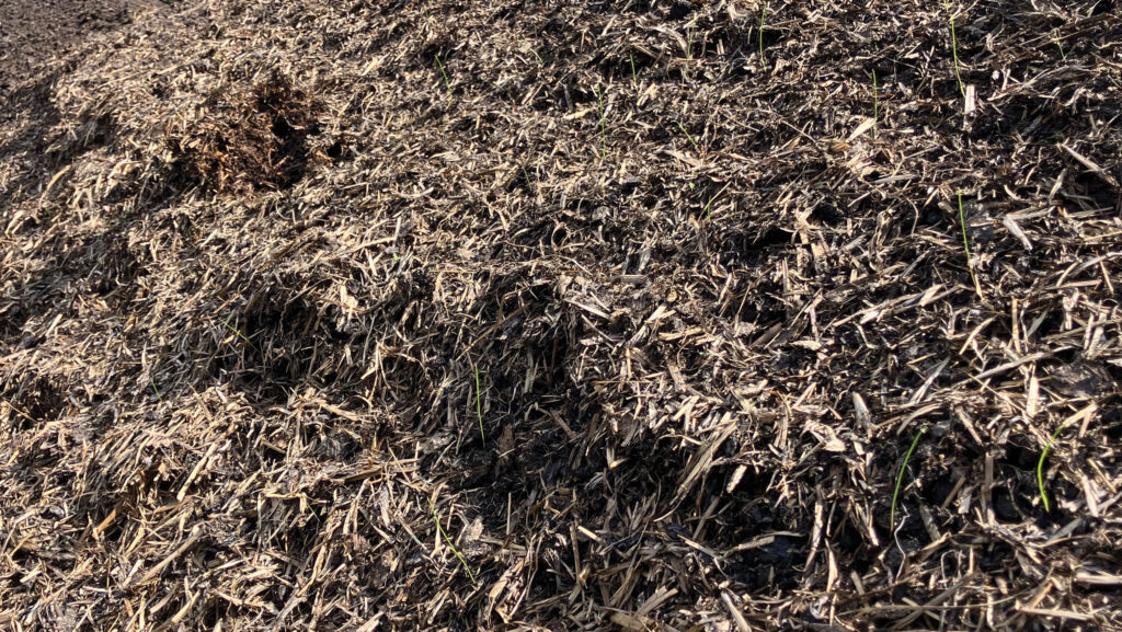 Compost at Godminster Farm, Somerset