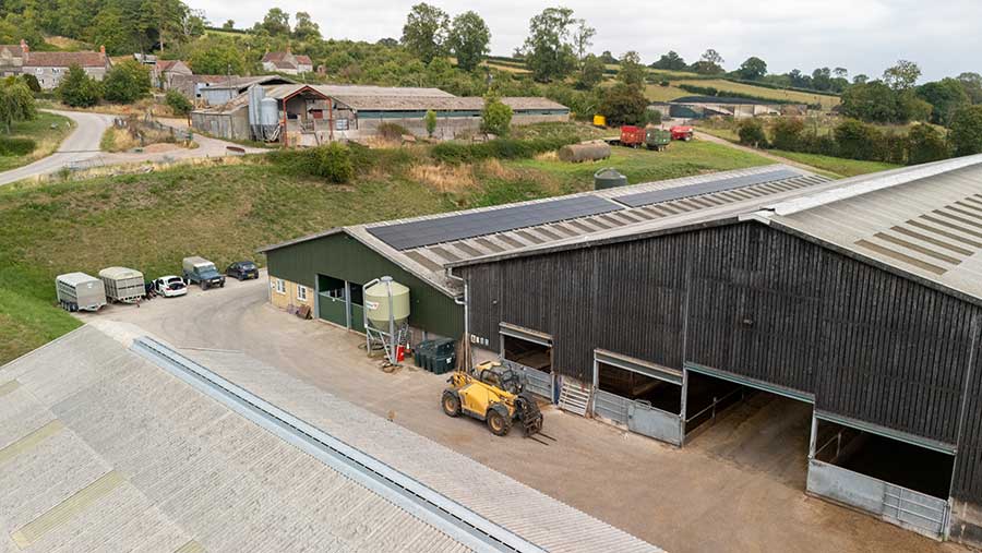 Knapp Farm