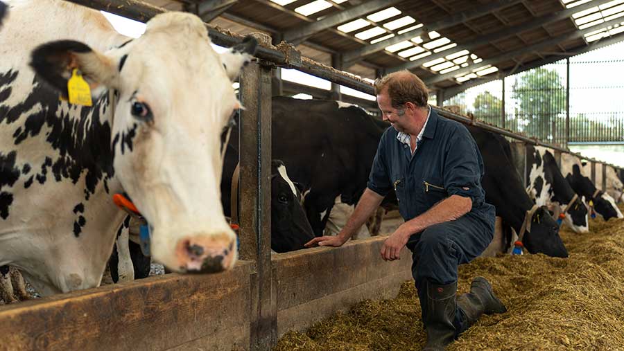 Andrew Creed pictures next to cows feeding on hay