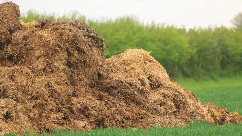 Pile of farmyard manure