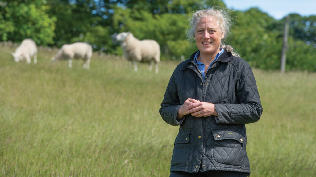 Fiona Lovatt