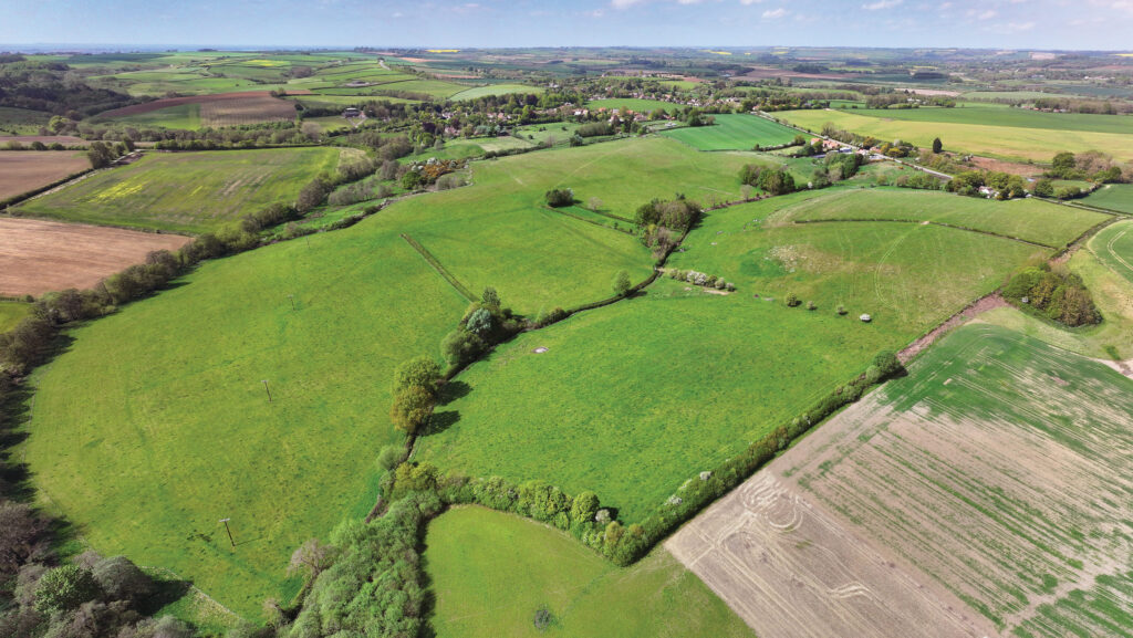 Furze Hill Farm