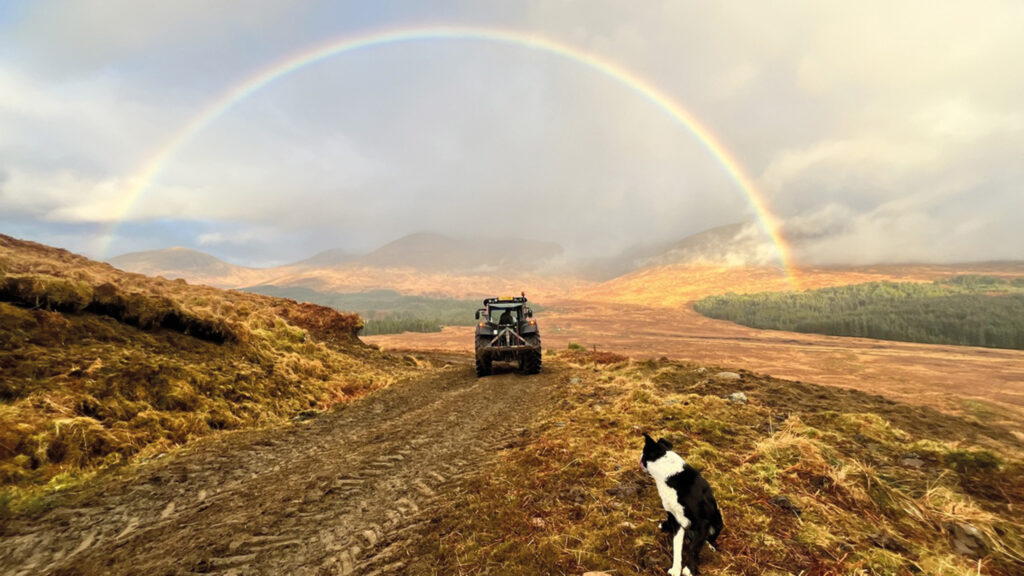 Landscape shot with dog and rainbow by Amy Louise