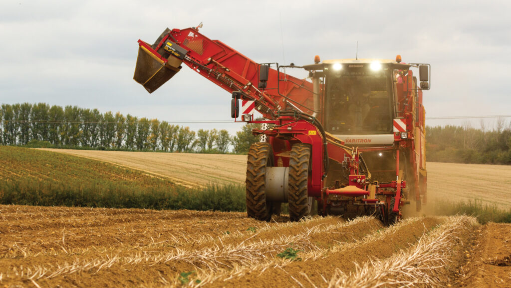 Lifting potatoes at AD Brain and Son © Adam Clarke