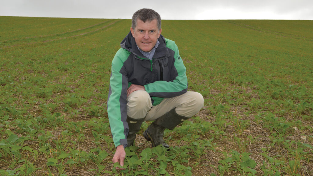 Mike Thornton, ProCam head of crop production