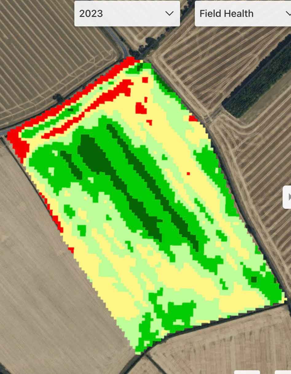 NDVI image from 2023. The dark green is Luxor treated with untreated on either side