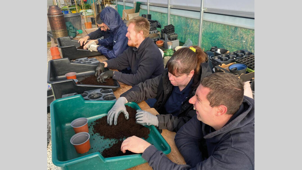 Potting at Let's Farm