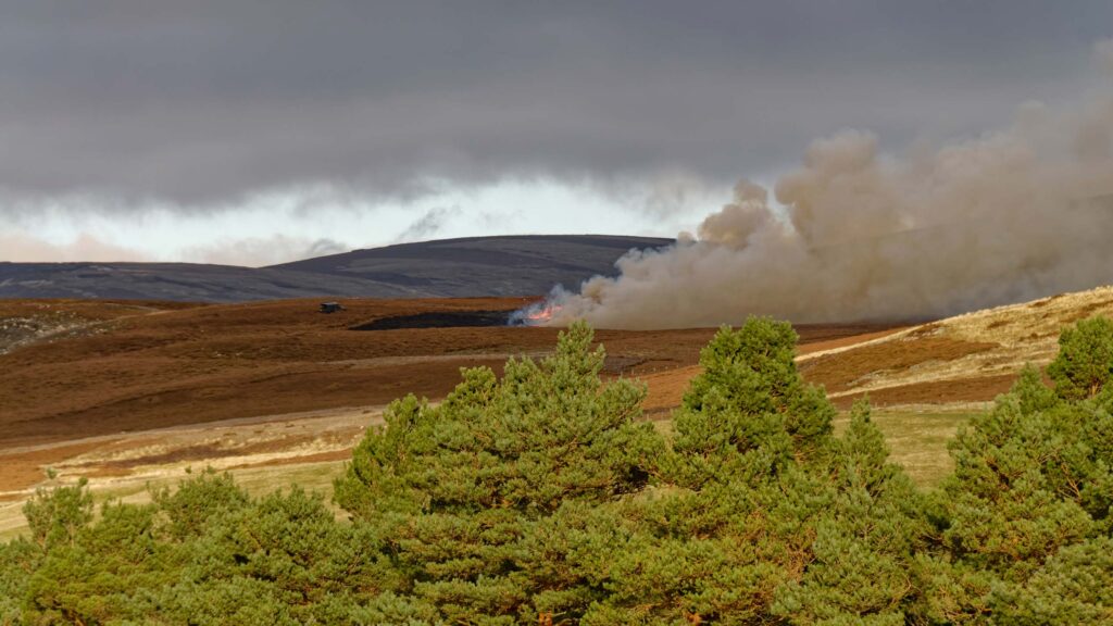 Controlled burning near Tarfside in Angus © Adobe Stock