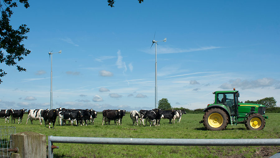 Cows and tractor in field, with wind turbines in the background