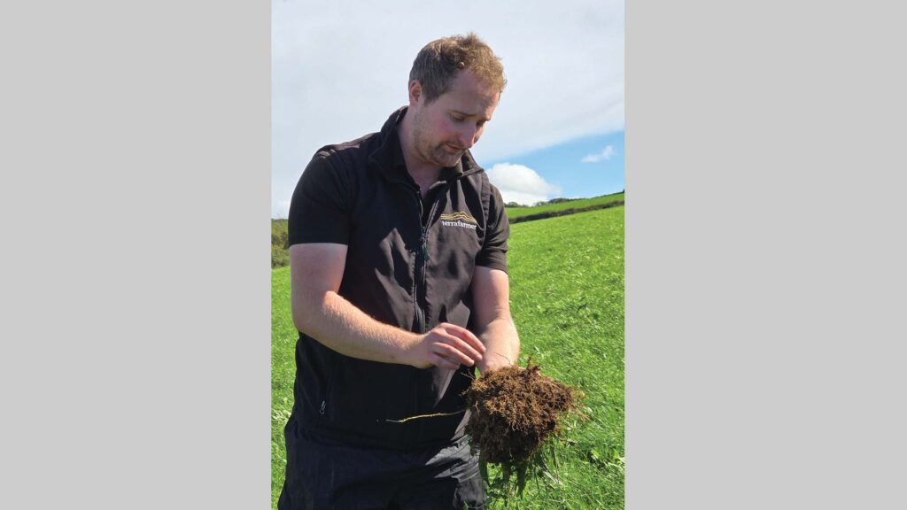 Man examines a plant's roots
