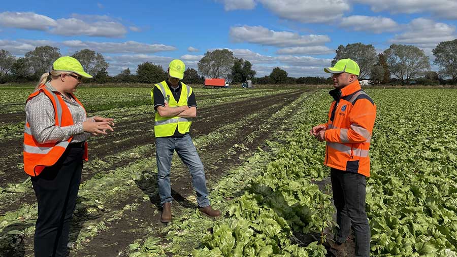 FareShare: Helping to get unsold produce onto people's plates