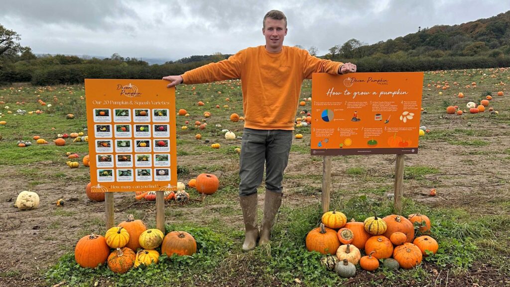 © Devon Pumpkin Patch