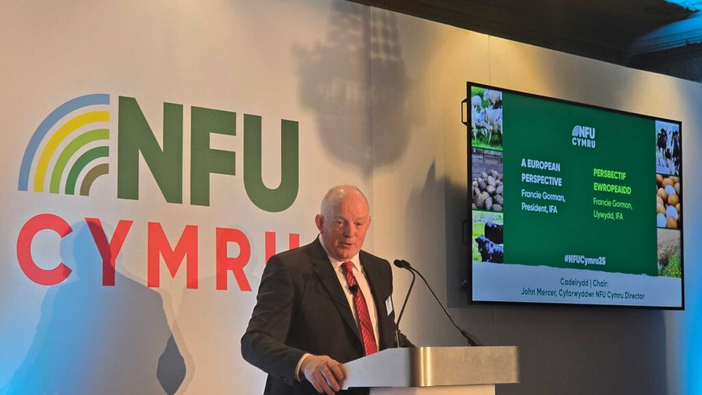 Francie Gorman © MAG/Annę Dunn