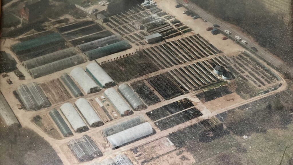 Historic photo of Perryhill Nursery in 1970s