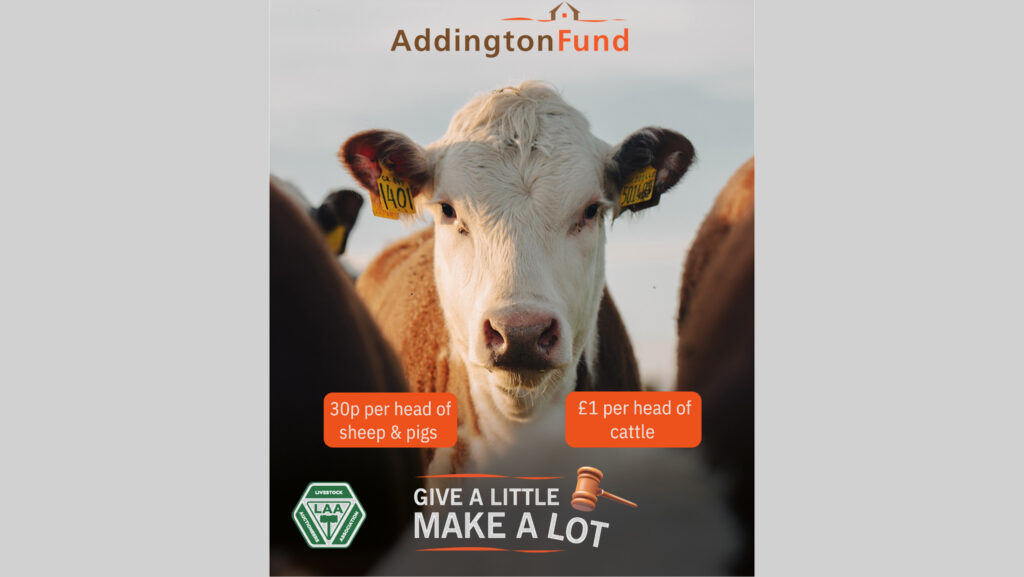 Addington Fund campaign poster